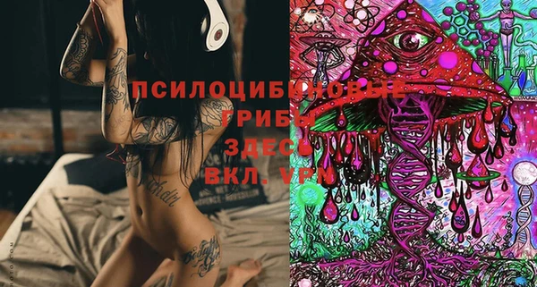 сатива Вязники