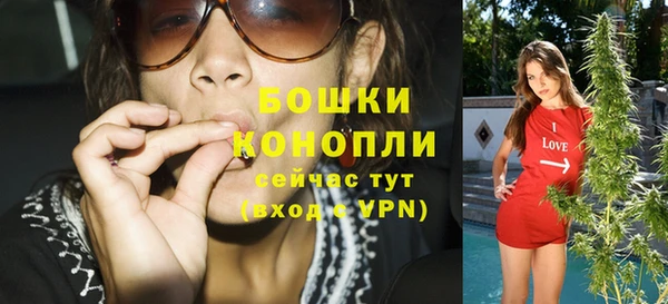 сатива Вязники