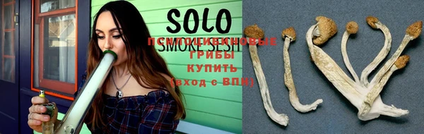 сатива Вязники