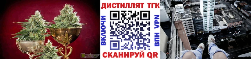 ТГК Wax  kraken   Железногорск 